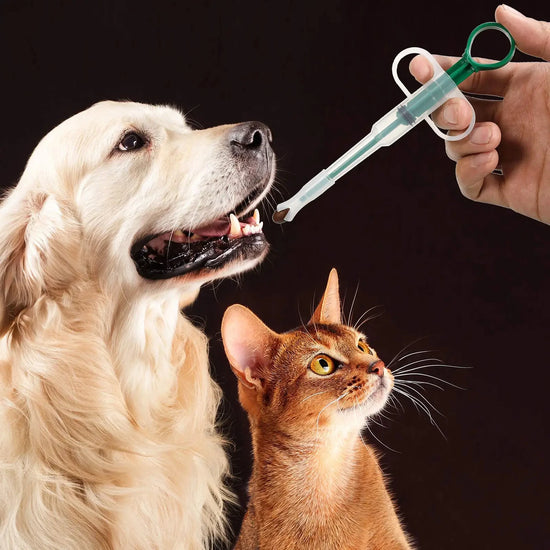 Pet Pill Feeding Stick